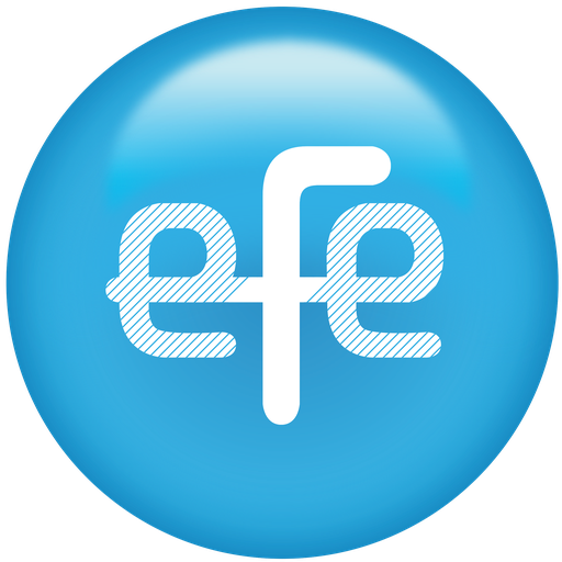 EFE Importação & Distribuição